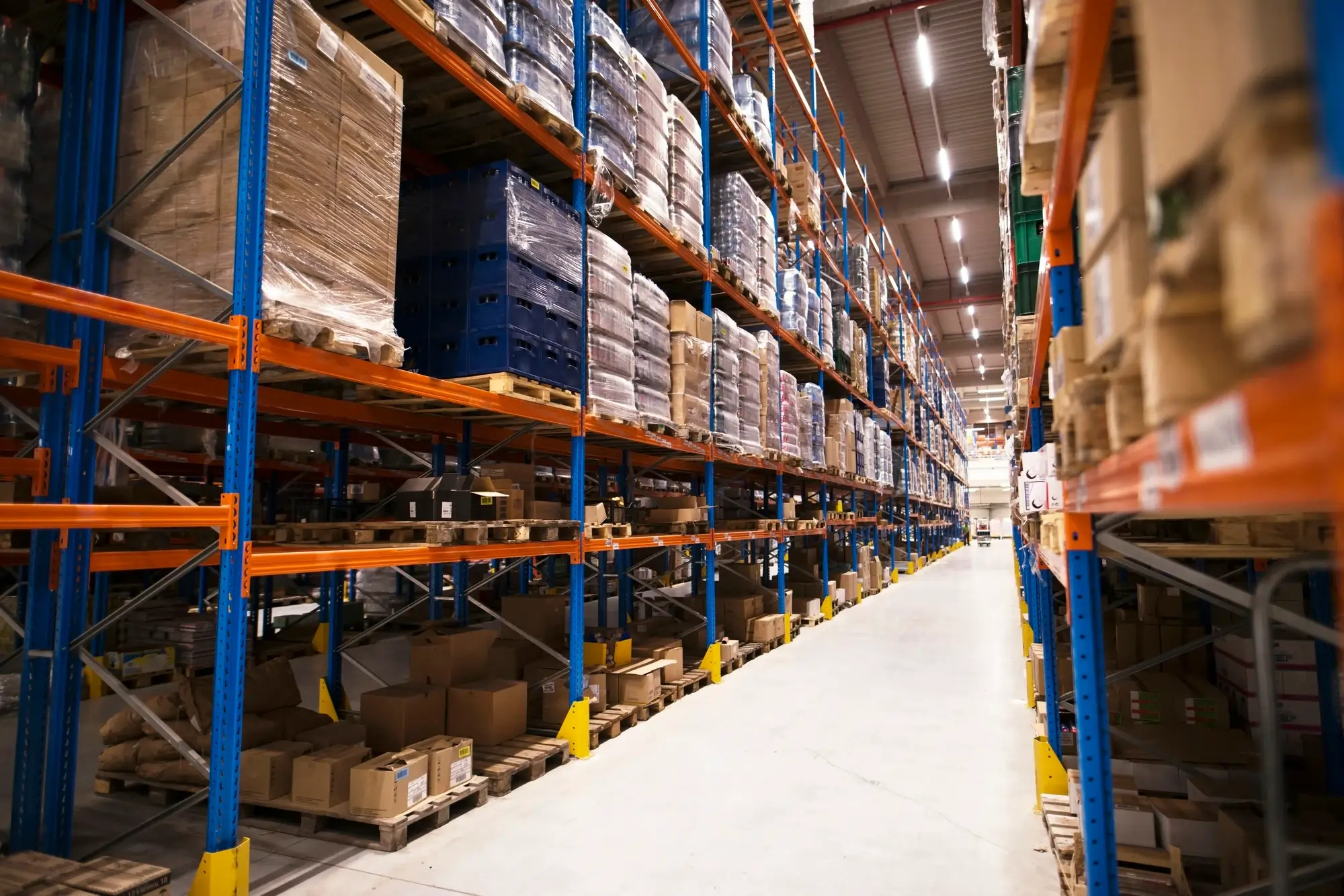 Import & Export Logistics